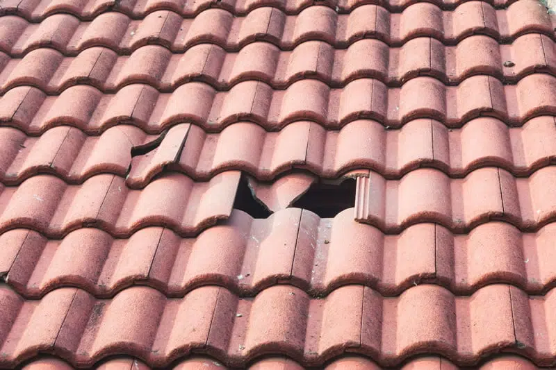 roof repairs