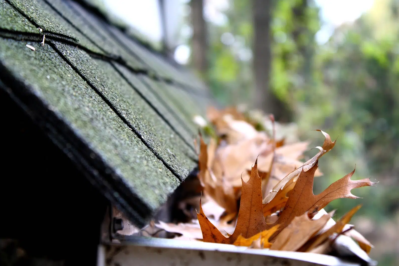 Clogged Gutters and Their Impact on Leaks