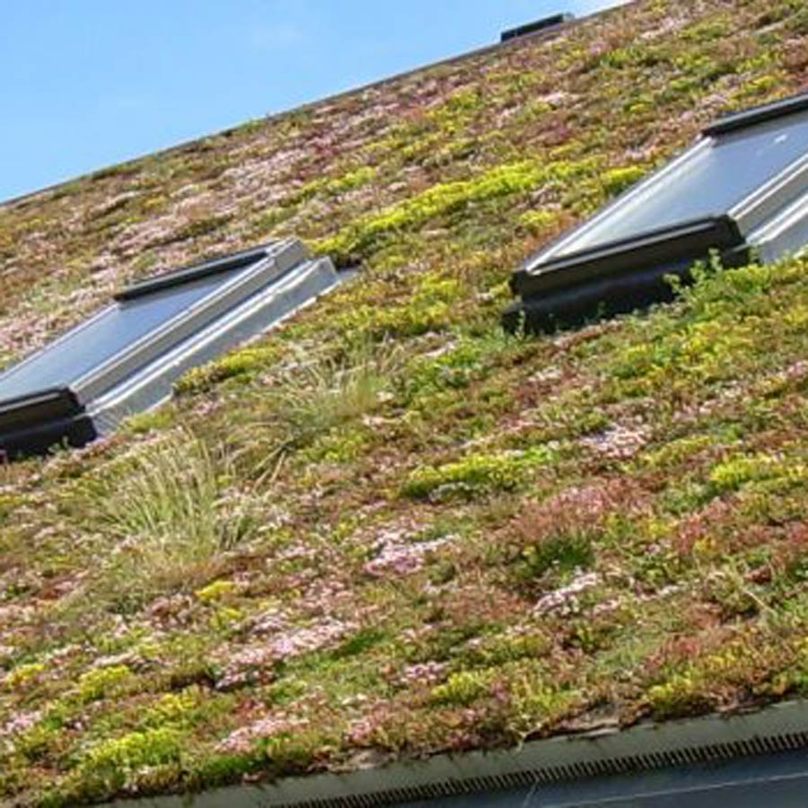 Green Roofing Materials